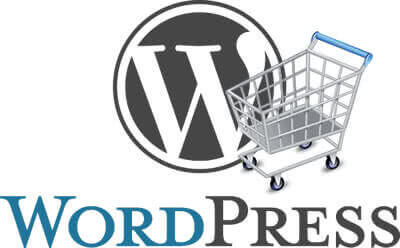 assistenza wordpress plugin ecommerce